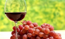 Ermenistan Uluslararası Şarap Ve Bağcılık Organizasyonuna Katılıyor