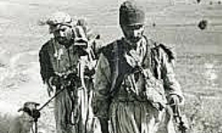 Dersim Seyahatname