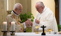 Papa Francisco: Ermeniler Sırf Hıristiyan Olduğu İçin Zulme Maruz Kaldılar