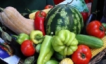 Ermenistan’dan Yaş Meyve Sebze İhracatı Arttı