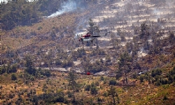 ​Ermenistan’ın florasının yarısına ev sahipliği yapan Khosrov Ormanı’ndaki yangın söndürüldü