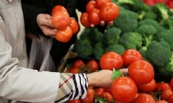 Rusya’ya domates ihracatı Ermenistan üzerinden mi delindi?