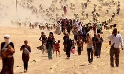 Irak`tan Ermenistan`a Ezidi mülteciler geldi