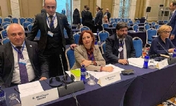 Azerbaycan`ın, Ermenistan`daki Metsamor nukleer santralini kapatma önerisi Euronest`te başarısız kal