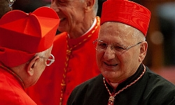 Patrik Sako Türk devletinin saldırılarını kınadı