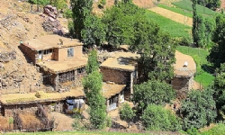 Flor’un kaçırılma travmasıyla geçen hayatı