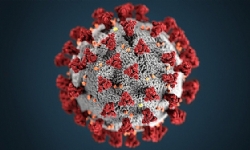 Dünyada 2 milyon 2.407 kişi koronavirüsten hayatını kaybetti