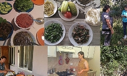 ​Databases on Armenian traditional games and edible plants in Armenian cuisine available online