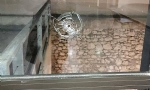 ​Marsilya’daki Ermeni kültür merkezine çirkin saldırı