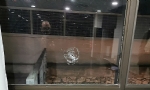 ​Ermenistan’ın Fransa Büykelçiliği’nden Marsilya’daki Kültür merkezine yönelik saldırı ile ilgili aç