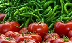 Rusya’dan Ermenistan’daki 13 şirketin domates ve biber sevkiyatı yapmasına izin çıktı