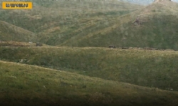 Ermenistan Ombudsmanı: Azerbaycanlı askerler tarafından açılan ateş Ermeni nüfusunun sağlığı ve hay