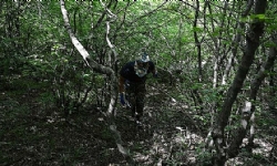 ​4 more bodies found in Artsakh search operations