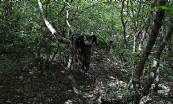 ​4 more soldiers’ bodies found in Artsakh search operations