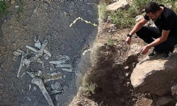 ​Ankara`da 600 yıllık Ermeni mezarlığı`nı defineciler tahrip etti