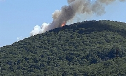 Heybeliada`daki orman yangını kontrol altına alındı