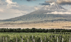 Հայաստան պատրաստ է Թուրքիոյ հետ յարաբերութիւնները կարգաւորելու՝ առանց նախապայմաններու