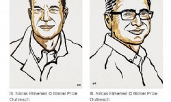 ​2021 Nobel Tıp Ödülü sahibini buldu