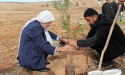 İmam ve papaz birlikte fidan dikti