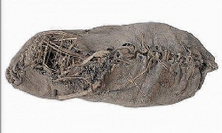 ​Dünyanın en eski ayakkabısı kurudu