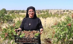 ​14 dil bilen, 22 kitap yazan Süryani rahibe Midyat’a döndü