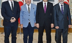Կուսակալին Այցելութիւն