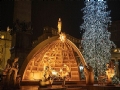 Vatikan’da Noel Ağacı Işıklandırıldı