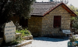 Hatay’da yıkımın ve can kaybının olmadığı köyün muhtarı: Yerleşimimiz uygun