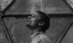 Ermenistan`da Altın Kayısı film festivali başladı