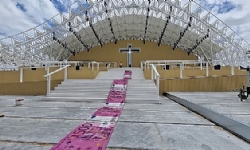 ​Papa`nın 161 milyon euroluk ziyaretine `paradan halı`yla protesto
