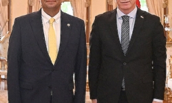 Կուսակալին Հետ Տեսակցութիւն