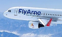 Newspaper: Armenia national air carrier suspending flights