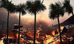Armenian Assembly of America stands united with Armenian community amid Los Angeles fires