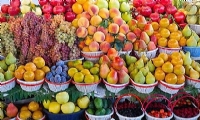 Rusya, Ermenistan’dan kiraz, kayısı, şeftali ve diğer meyvelerin ithalatını kısıtlıyor